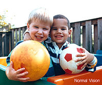 200px-human_eyesight_two_children_and_ball_normal_vision_color