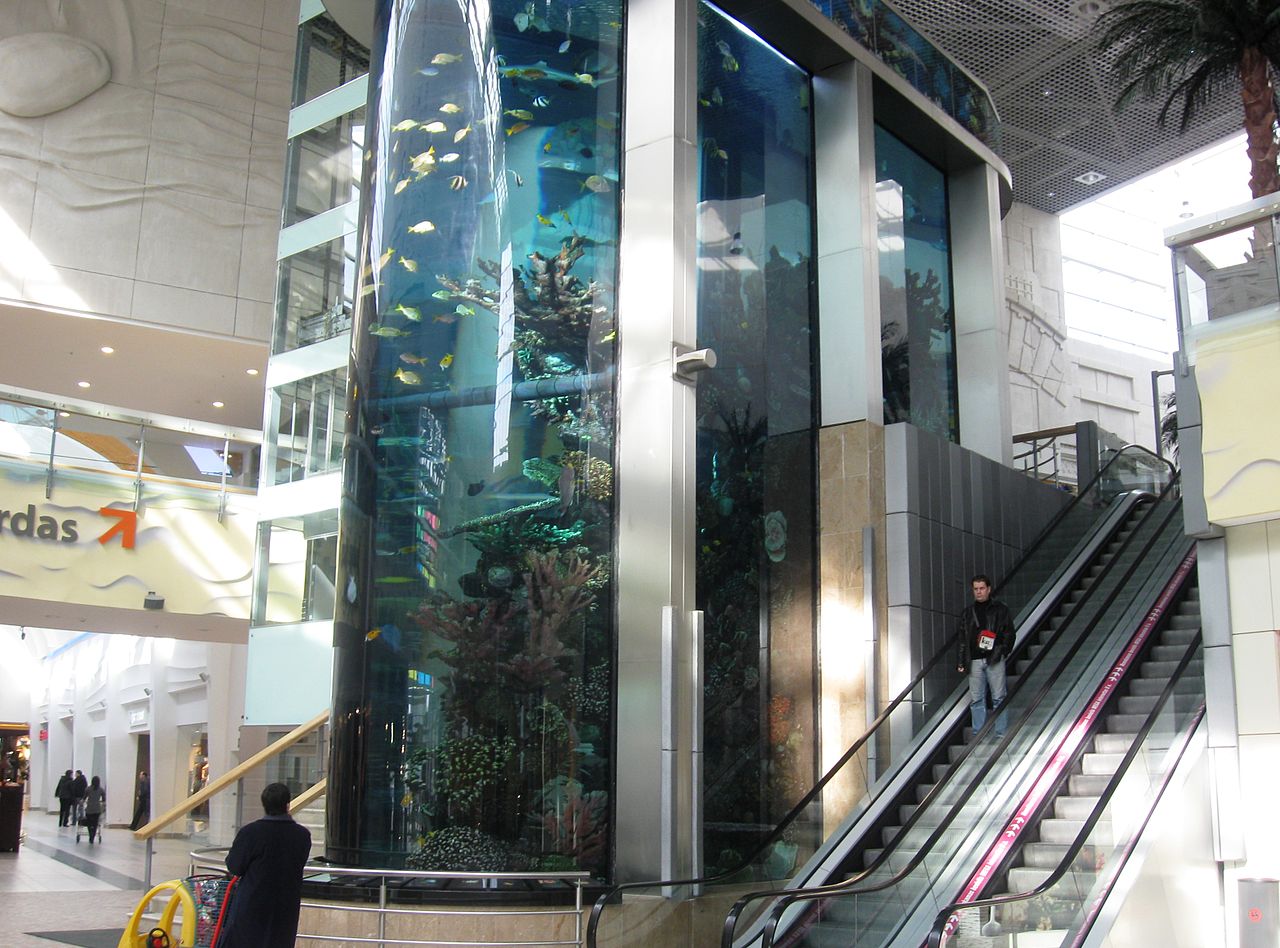 Aquarium_in_shopping_mall,_Kaunas