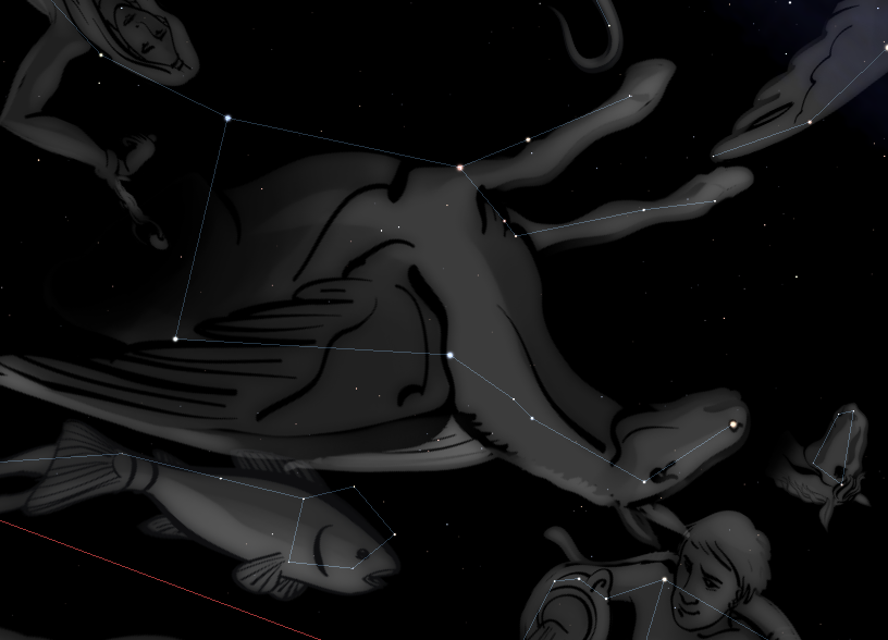 constellation-art-pegasus